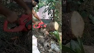 IBell electric chain saw, good for domestic use only , gets the work done, not good as petrol ones.