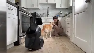 ORo - Your Dog&rsquo;s Pawfect Companion