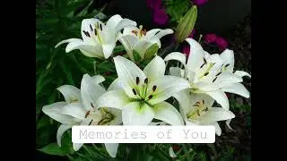 TSAS - Memories of You
