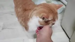 노춘이가 미춘이가 되는 장면..또 놓쳤네ㅠㅠㅋㅋ(설명도 참고하세용)