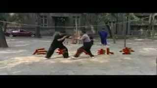 Gao style BaGuaZhang, HouTian Chai Shou