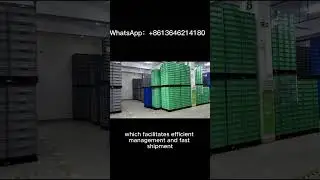 Large Collapsible Plastic Pallet Boxes For Warehouse & Logistics Use