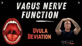 Vagus Nerve Function Uvula Deviation