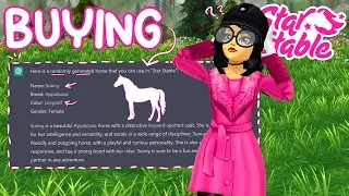 Buying The Horse AI Tells Me To 😳 Star Stable