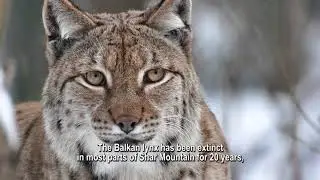 Национален парк Шар Планина / National Park Shar Planina