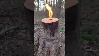 Бушкрафт 🪵🔥