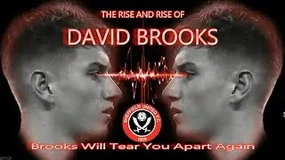 THE RISE & RISE OF DAVID BROOKS