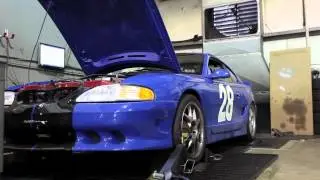 1995 Ford Mustang dyno run