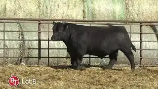 Lot 8, BJ Deadwood 3128
