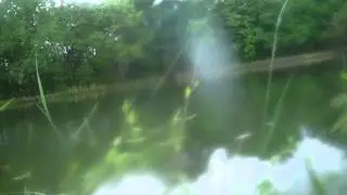 triggerx flappin bug bass