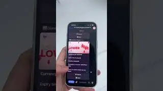 Free trading bot for Pocket Option