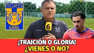 &iexcl;MUNDO TIGRES EN SHOCK! &iexcl;LA VERDAD OCULTA DE GIM&Eacute;NEZ Y EL S&Iacute; AL VOLC&Aacute;N! &iexcl;NOTICIAS DE TIGRES HOY!