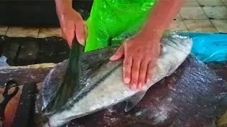 LIVE CUTTING MARKET TRADITIONAL FISH GIANT TREVALLY