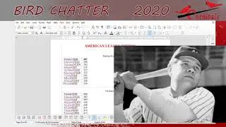 1920 - BASEBALLS GREATEST SEASON : FINAL STANDINGS AND STATS