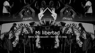 Delirio de Persecución | Mi libertad (Live Visualizer)