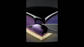 ✨ Mirror Glaze Cake Slice ASMR | Ultra Glossy Slow Motion Cutting