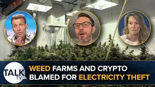 Weed Farms And Crypto Mines Blamed For Electicity Theft | Dr David Bull | Dr Renee Hoenderkamp