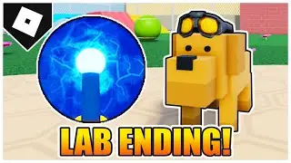 How to get the LAB ENDING + DARK GOGGLES HAT in PET STORY! (🧪 Update) [ROBLOX]
