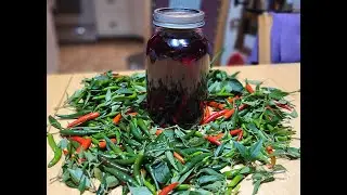 Homegrown, Easy, Hot and Spicy Pickled Beets for beginners.