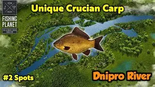 Unique Crucian Carp Dnipro River - Fishing Planet