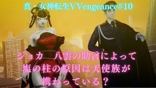 真・女神転生Ⅴ Vengeance初見プレイ#10第3魔界シンジュク突入御苑からヨヨギまでカラスを追って向かう（ネタバレあり）