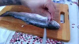 Pierwsze filetowanie Marttini Rapala  fish'n fillet knives