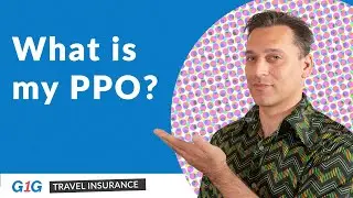 Understanding the Role of a Preferred Provider Organization (PPO) in Visitors Travel Insurance | G1G