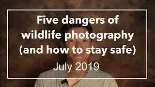 Five dangers of wildlife photography (and how to stay safe) (July 2019)