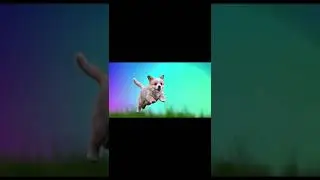 When you believe... anything is pawsible!🐾✈️💨 #flyingpuppy #cuteshorts #puppypower #animationshorts