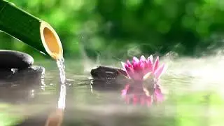 Bamboo Water Flow | Beautiful BG Piano Music | Divine Rhythm
