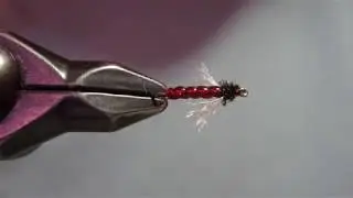 Yamamoto's D-Rib Midge Pupa