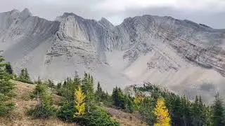 360-Degree Mountain Views ⛰️- Golden Larches at Ptarmigan Circle Trail