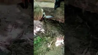 Начало #катана