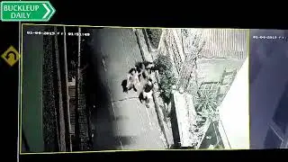 Dog chasing people causing one to be struck by a car