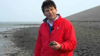 Ontdek het ruige Texel 💨 - De Texelaar #4.2