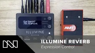 ILLUMINE Reverb &mdash; контроль экспрессии