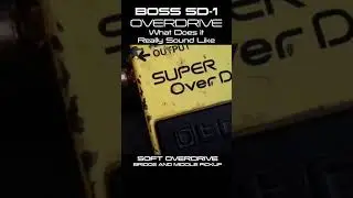BOSS SD 1 GETTING A GREAT SOUTHERN ROCK TONE