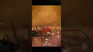 🐜ANT #fastviral #facts #trending #newsheadlines #SpNews