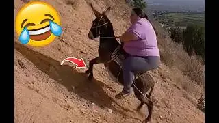 Funny Videos Of 2026🤣😆😂 TRY NOT TO LAUGH Funny Videos #77