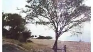 20.07.07