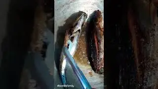 Frying tulingan  fish #shorts#fish #satisfying