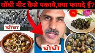 घोंघी की सब्जी बनाये | Snail Recipe | Traditional Food | Adivasi Food | Ranchi Street Food | Vlog