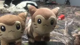 furret knocks over gfuel tower (og quality, 1080p 60fps)