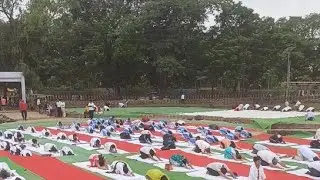 M4S NEWS: YOGA DiWAS