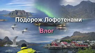 Влог подорож Лофотенами, хайкінг в Норвегії | затишне відео