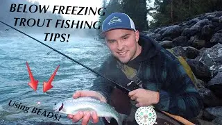 Catching Trout in Winter Conditions (River Fishing)