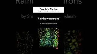 February #NeuroArt Winners #shorts