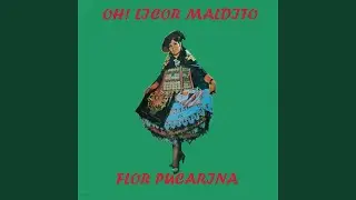 Huacha Lorito