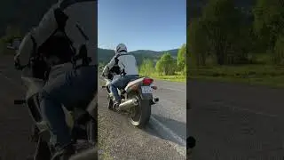 Honda VTR 1000 Firestorm 🚀😎