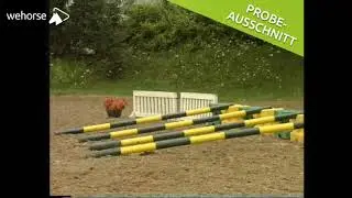 Doppellonge : Weiterf&uuml;hrende Arbeit in Dressur, Springen und Fahren | Wilfried Gehrmann
